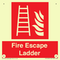 FV10434: Fire Escape Ladder