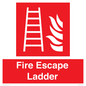 FV10434: Fire Escape Ladder