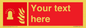 FV10638: Custom Fire: Fire alarm flashing light
