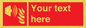 FV10687: Custom Fire: Fire alarm sounder