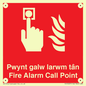 FV13037: Pwynt galw larwm tan  Fire Alarm Call Point
