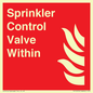FV15272: Sprinkler Control Valve Within