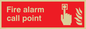 FV341: fire alarm call point