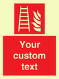 FV7335: Custom Fire Ladder