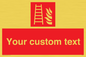 FV7335: Custom Fire Ladder