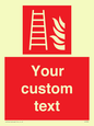 FV7335: Custom Fire Ladder