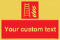 FV7335: Custom Fire Ladder