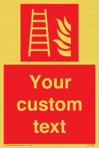 FV7335: Custom Fire Ladder