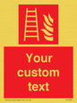 FV7335: Custom Fire Ladder