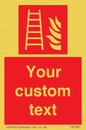 FV7335: Custom Fire Ladder
