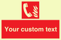 FV7338: Custom Fire Emergency telephone