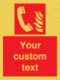 FV7338: Custom Fire Emergency telephone
