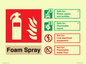 FZ15599: Foam Spray Fire Extinguisher Identification Sign
