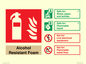 FZ16846: Alcohol Resistant Foam Fire Extinguisher Identification Sign