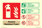 FZ16846: Alcohol Resistant Foam Fire Extinguisher Identification Sign