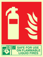 FZ379: safe for use on flammable liquid fires