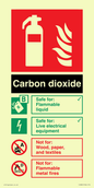 FZ385: CO2 Fire Extinguisher Identification Sign