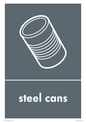 IJ14042: Recycling - steel cans