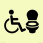IV11025: I068 Accessible Toilet RtL
