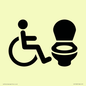 IV11025: I068 Accessible Toilet RtL