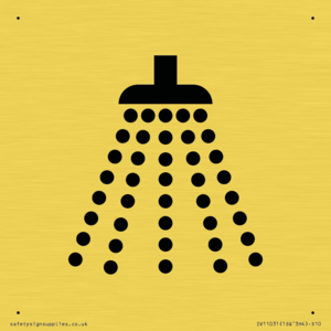 IV11031: I061 Shower