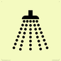 IV11031: I061 Shower