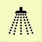 IV11031: I061 Shower