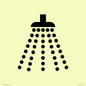 IV11031: I061 Shower