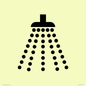 IV11031: I061 Shower