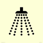 IV11031: I061 Shower