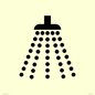 IV11031: I061 Shower