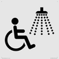 IV11033: I062 Accessible Shower
