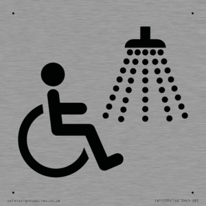 IV11033: I062 Accessible Shower