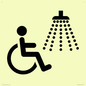 IV11033: I062 Accessible Shower