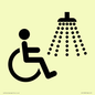 IV11033: I062 Accessible Shower