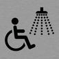IV11033: I062 Accessible Shower