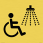 IV11033: I062 Accessible Shower