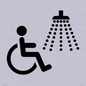 IV11033: I062 Accessible Shower