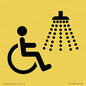 IV11033: I062 Accessible Shower