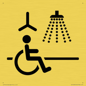 IV11035: I063 Accessible Shower with Hoist