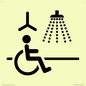 IV11035: I063 Accessible Shower with Hoist