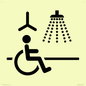 IV11035: I063 Accessible Shower with Hoist