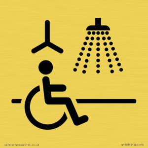 IV11035: I063 Accessible Shower with Hoist