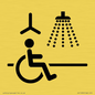 IV11035: I063 Accessible Shower with Hoist