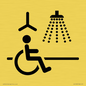 IV11035: I063 Accessible Shower with Hoist