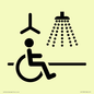 IV11035: I063 Accessible Shower with Hoist