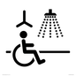 IV11035: I063 Accessible Shower with Hoist