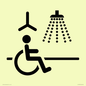 IV11035: I063 Accessible Shower with Hoist