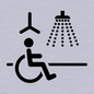 IV11035: I063 Accessible Shower with Hoist