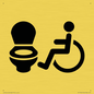 IV11044: I069 Accessible Toilet LtR